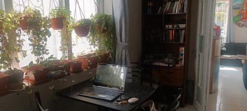 Quinoa Backpackers Hostel Quinoa Backpackers Hostel