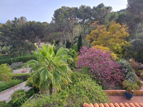 Casa de las Vistas - image 7