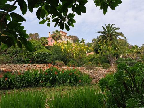 Casa de las Vistas - image 6