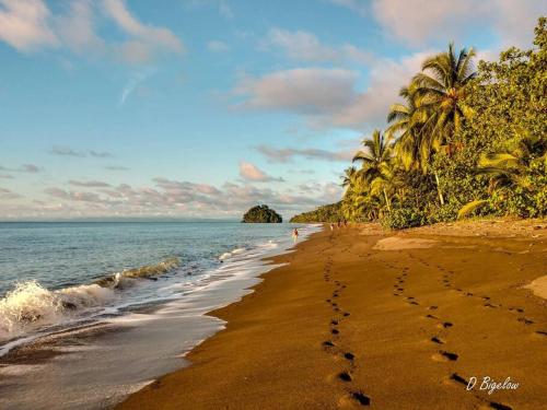 Casa Prana, Termales, Nuqui