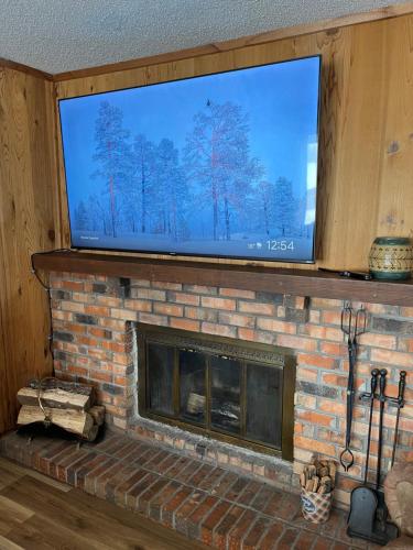 Snow Otter Haus - 1 in Bessemer, USA