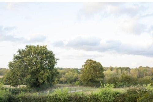 Doeling Barcombe in Ringmer