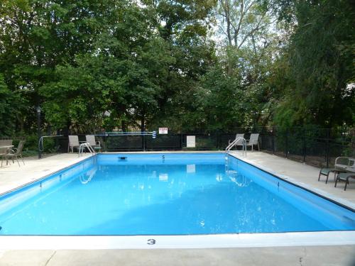 Úszómedence, SCHELL MOTEL VERNON in Vernon