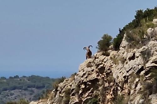 Casa Arminani, Costa Blanca, Sea & Mountain View