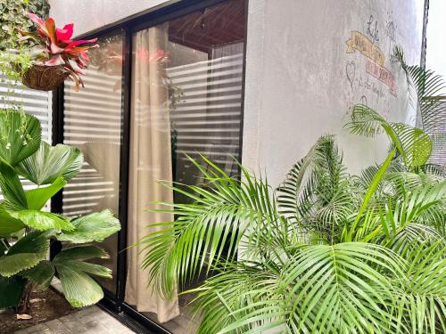 Umgebung, La Tribu Boutique Hostel for Women in Puerto Viejo de Talamanca