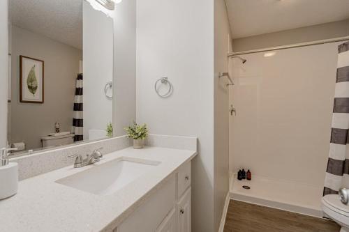 Close to USC & Midtown-Downtown - Newly Renovated in Columbia, USA