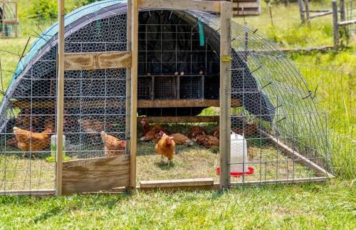 Farm Glamp, Outdoor Shower, Pool! 15min to Chatt! in Chattanooga, USA