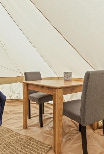 Glamp on Functional Farm with pool 15min to Chatt! in Chattanooga, USA