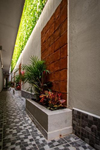 Skats, Hotel El Rincón (Hotel El Rincon) in Ekmul