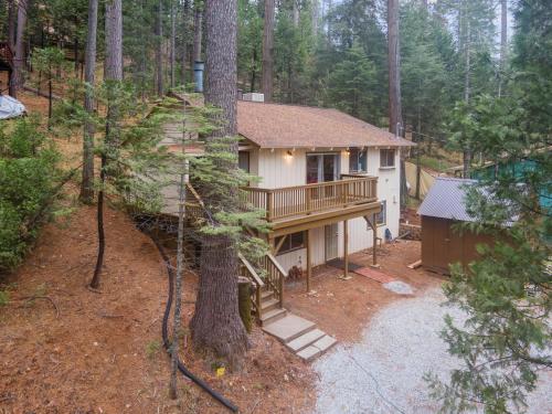 Álaínn Cabin in the trees