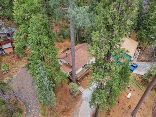 Álaínn Cabin in the trees