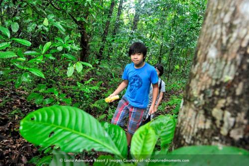 LooLa Adventure Resort