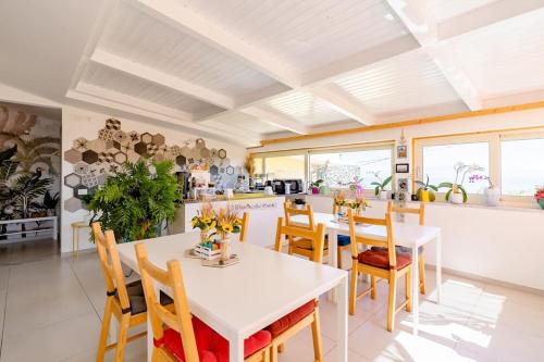 B & B Il Giardino sul Mare