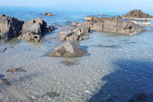 B & B Il Giardino sul Mare, Briatico (Foto 7)