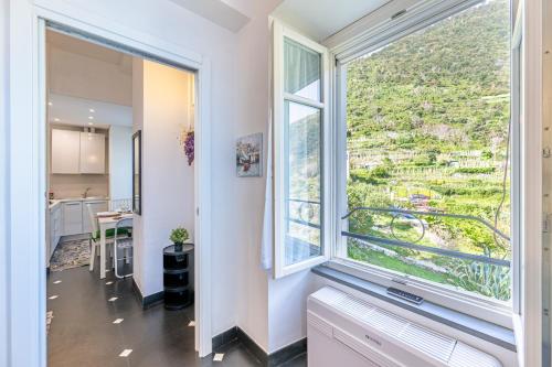 La Coccinelle - Superb Views - Apartment - Corniglia