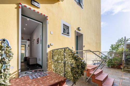 Hanging Garden - image 6