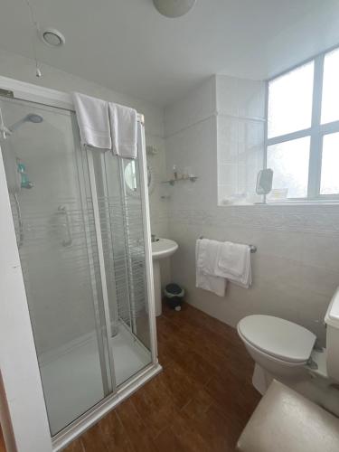 Shower, Ashmore House Cashel in Cashel