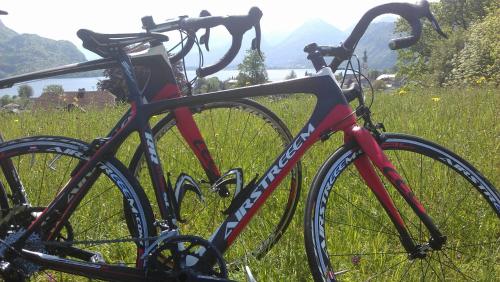Gasthof Hotel Wiesenhof - main image