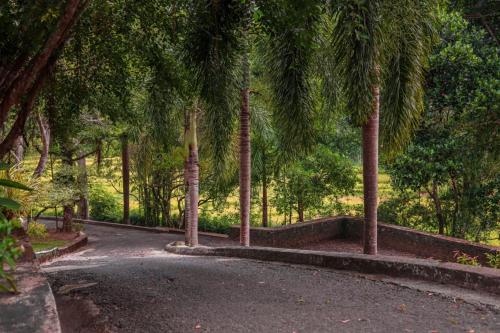 Owin Rich Godakawela - Udawalawe Safari & Cooking Class