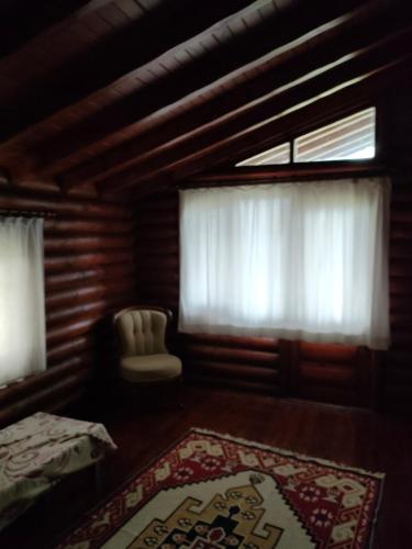 Chalet's lake_Bolu Abant _log house