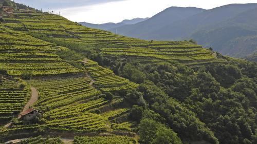 Ca Dina - Appartamento in Val di Cembra