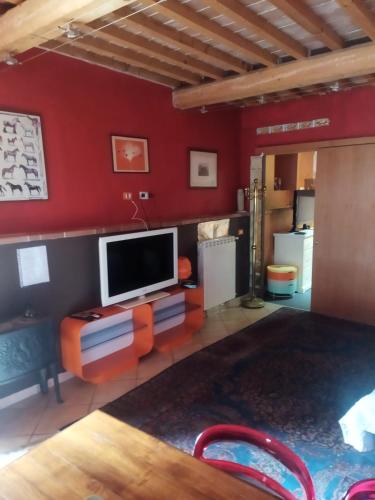 Loft 70 - Apartment - Montescudaio