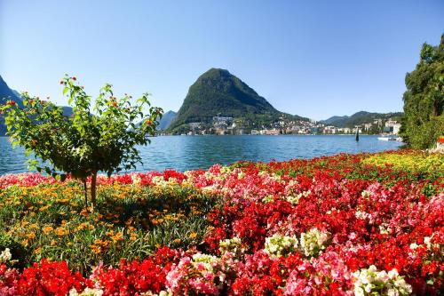 Oprema, Melide Apartments - Happy Rentals in Lugano