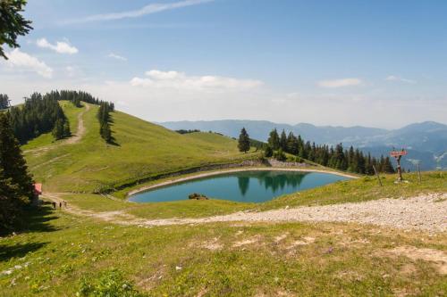 Зручності, Farmhouse Blackberry Pool & Wellness- Happy Rentals in Vransko
