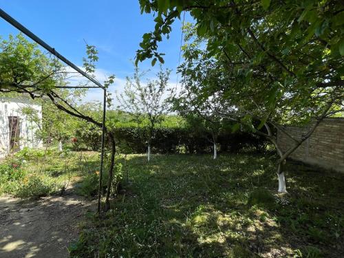 Kert, Ležimirski Snovi (Lezimirski Snovi) in Laćarak