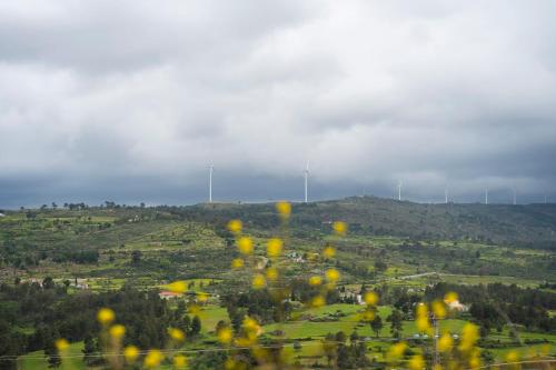 Hotel Mira Serra - image 12