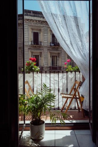 La Maison De Catania