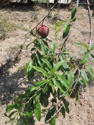 Studios Kapsali II Studios Kapsali II