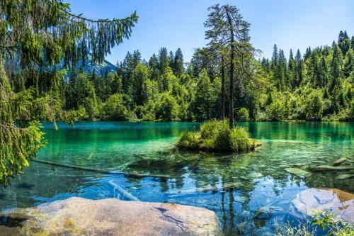 附近景點, Private apartment with parking spot in the center in 弗利姆斯