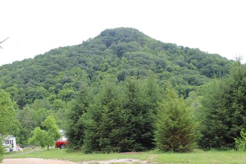 Eco Friendly Glamping Yurt In Roan Mountain Tn