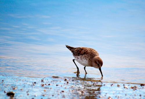 Surrounding environment, Alquiler Temporario Rio Grande in Rio Grande