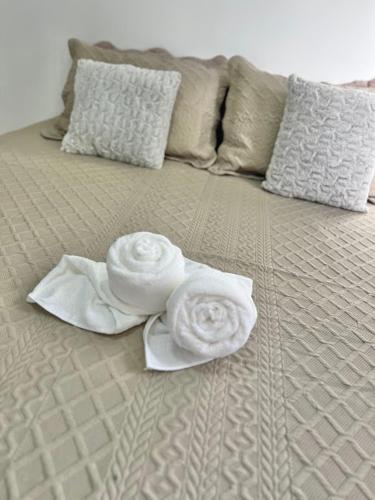 Lindo apartamento de 3 quartos bem amplo próximo a Rua de Lazer Domingos Martins