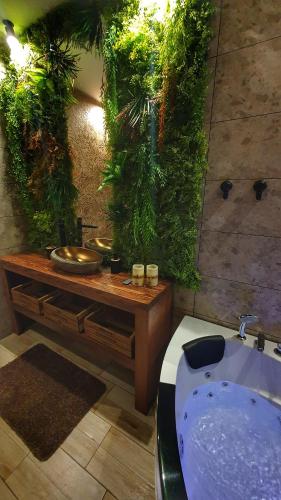 Vannas istaba, Castello Inn in Smederevska Palanka
