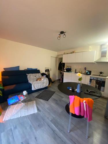 Charmant appartement avec terrasse privée - Location saisonnière - Fontenay-sous-Bois