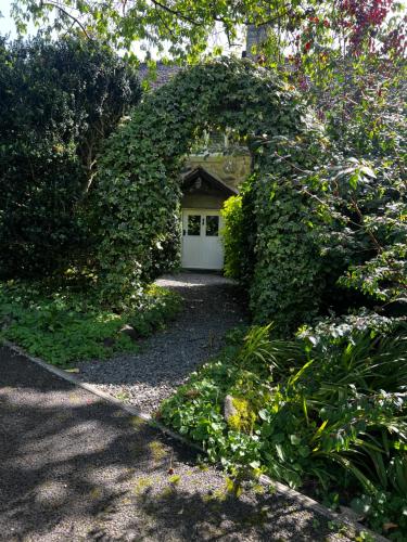 Old Mill Retreat, by River/Sea/Country Nr Barmouth Dogs