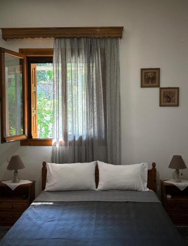 Λευκή Καμέλια, Anilio Pelion (photo 10)