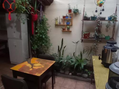 Hostel Casa Ridgway in Сан-Хосе