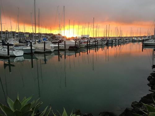 مناطق جذب قريبة, Cozy Half Moon Bay Homestay in هالف مون باي