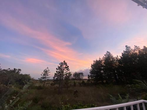 Volcano Pines Retreat