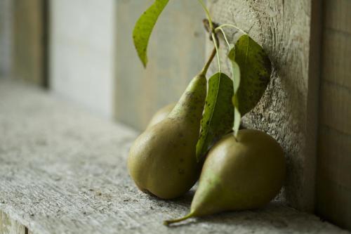 Pear Tree Inn Whitley - image 5