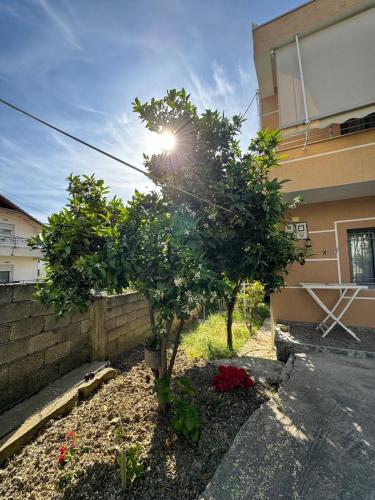 Vila Murati, Tirana (Foto 2)