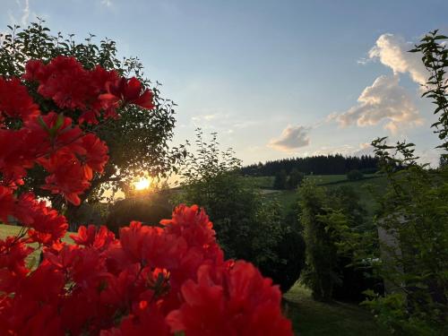 Weideblick, traumhaft wohnen im Schwarzwald