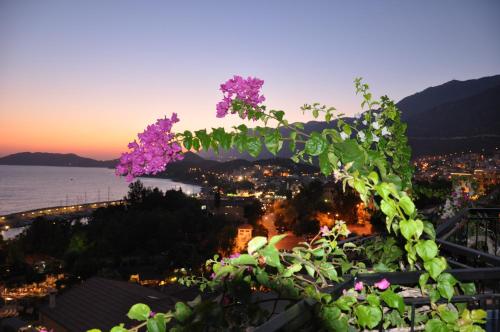 Defne Hotel - image 14