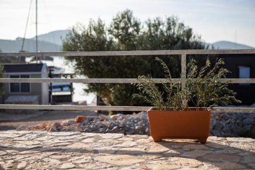 Beach house Nina - Island of Žut - Kornati