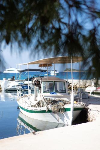 Beach house Nina - Island of Žut - Kornati