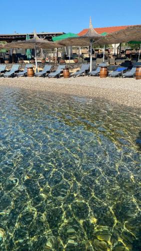 Beach house Nina - Island of Žut - Kornati